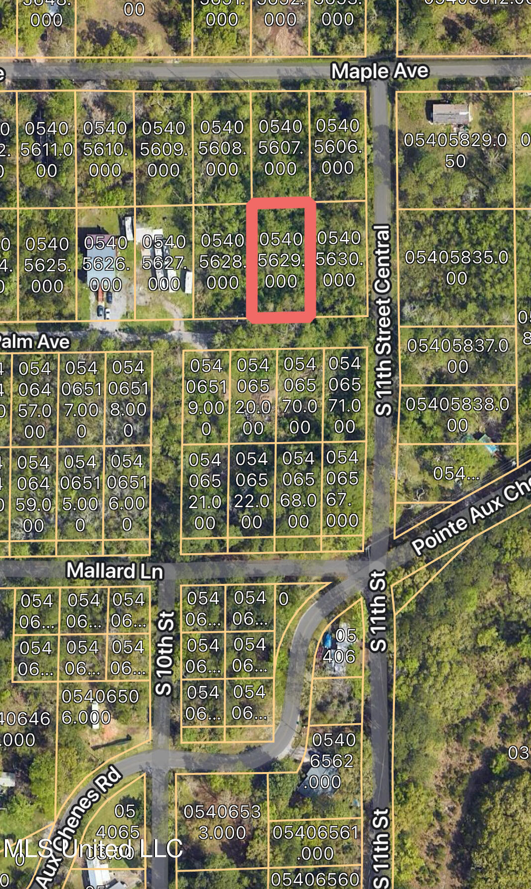 Palm Avenue Property Photo 1