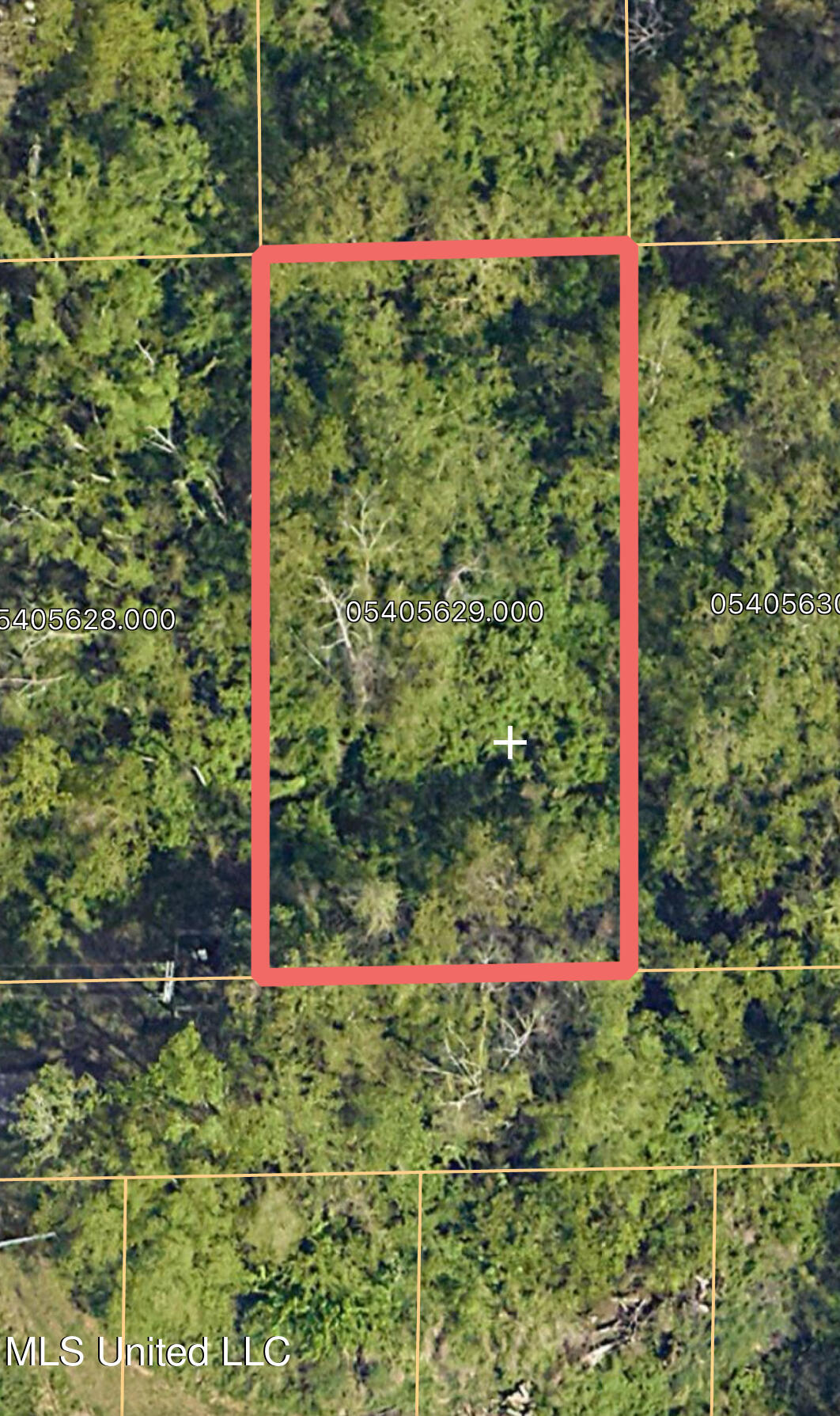 Palm Avenue Property Photo 2