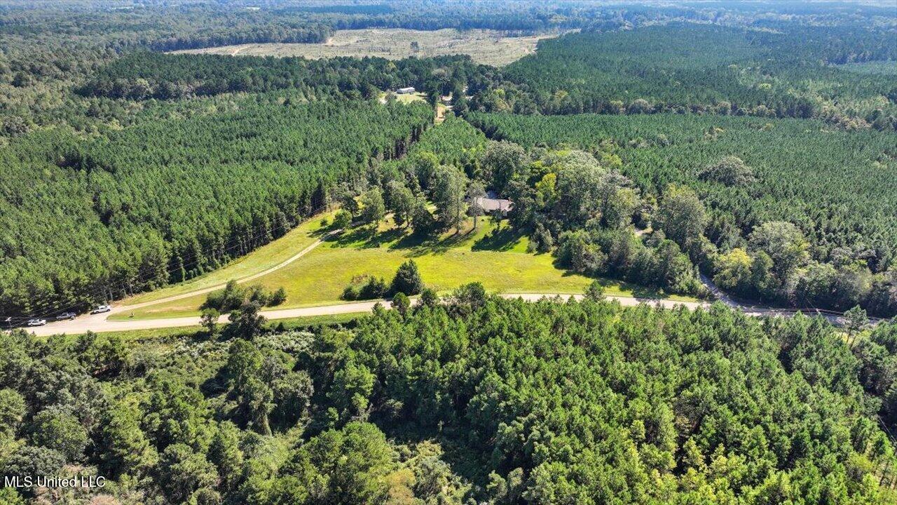 2694 Highway 501 Property Photo 39