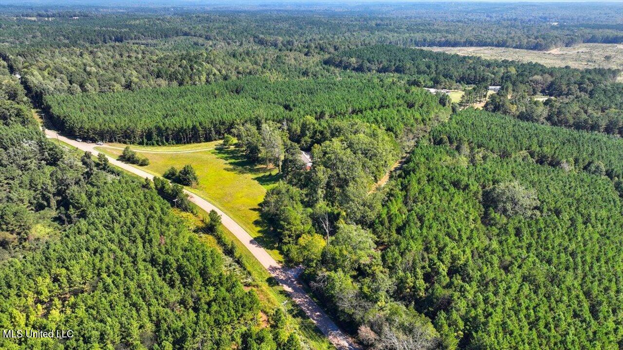 2694 Highway 501 Property Photo 41