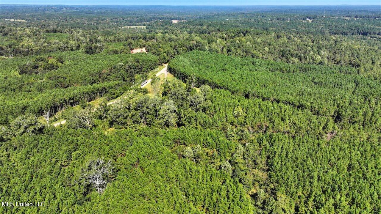 2694 Highway 501 Property Photo 43