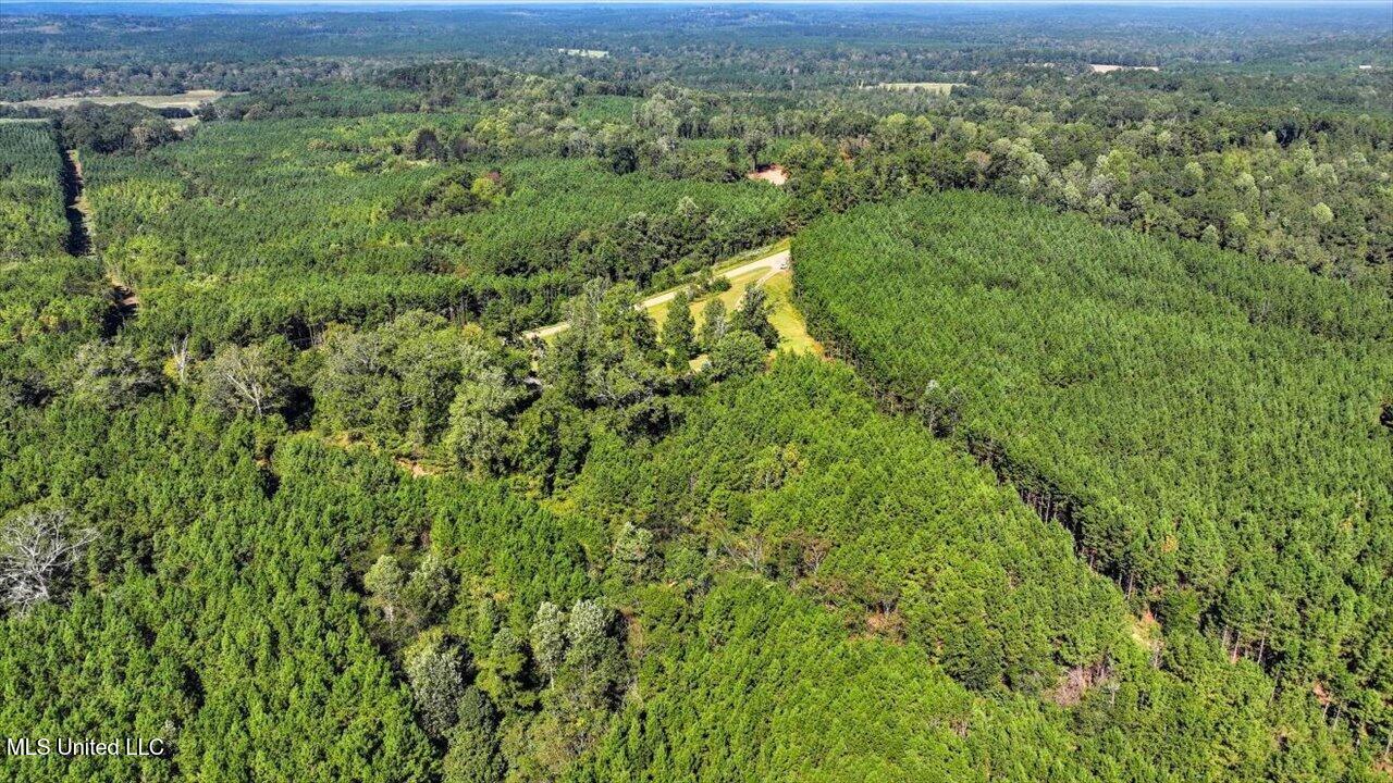 2694 Highway 501 Property Photo 44