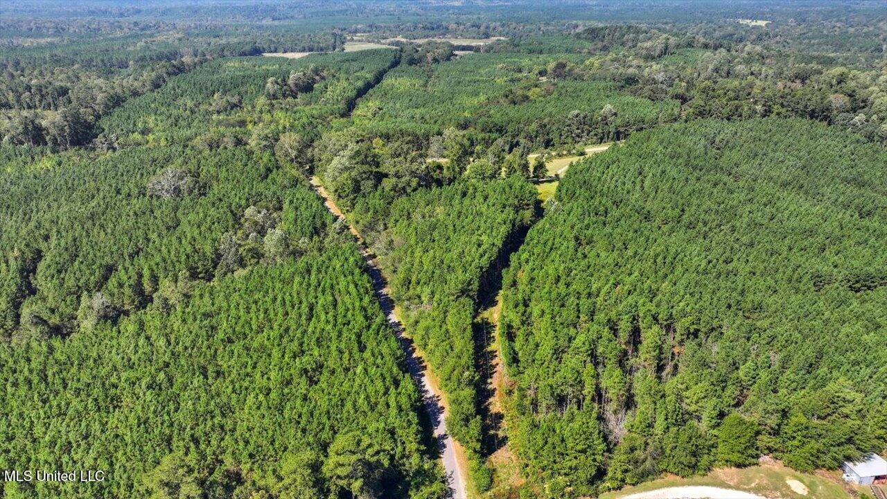 2694 Highway 501 Property Photo 45