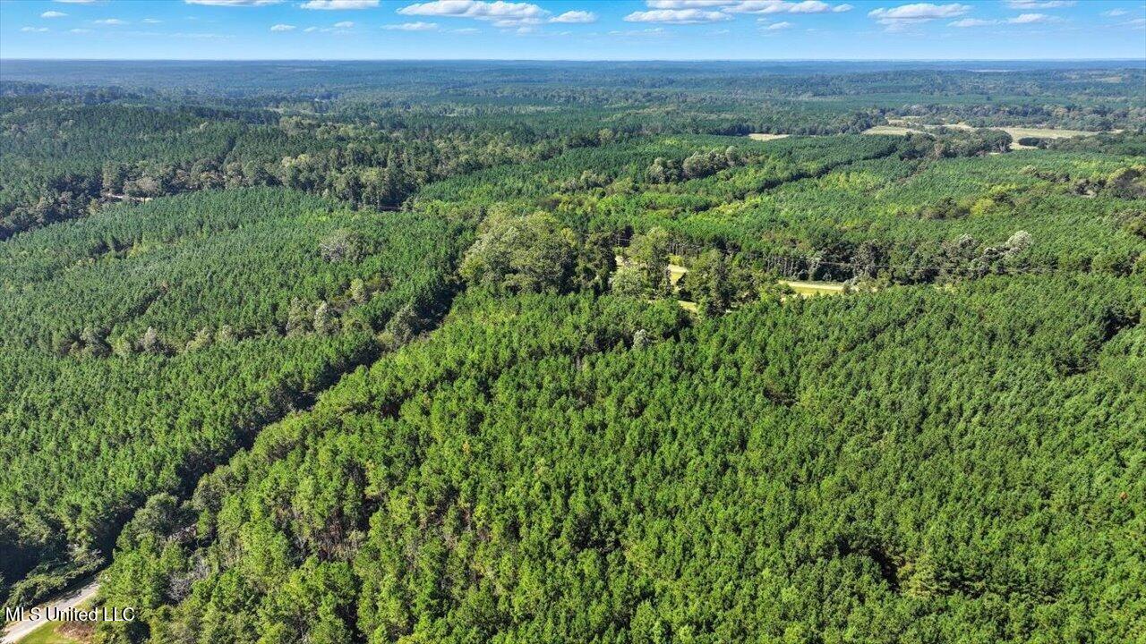 2694 Highway 501 Property Photo 46