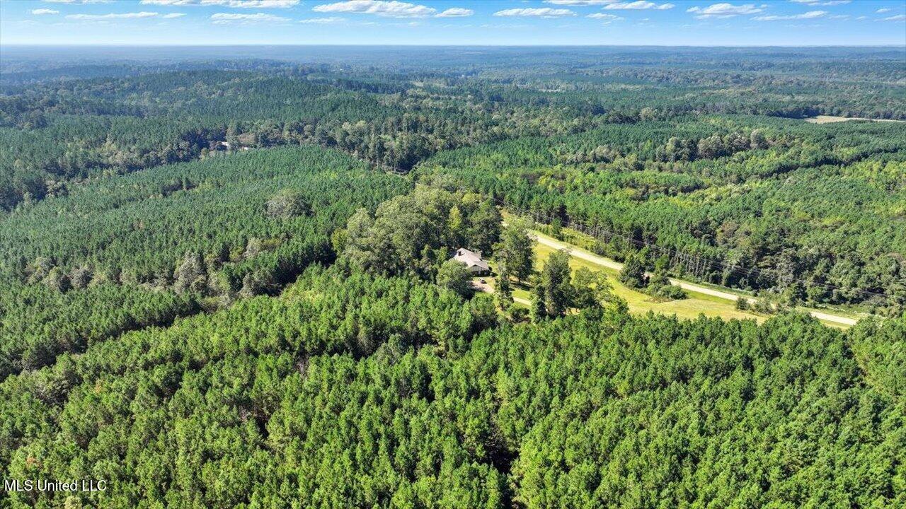 2694 Highway 501 Property Photo 47