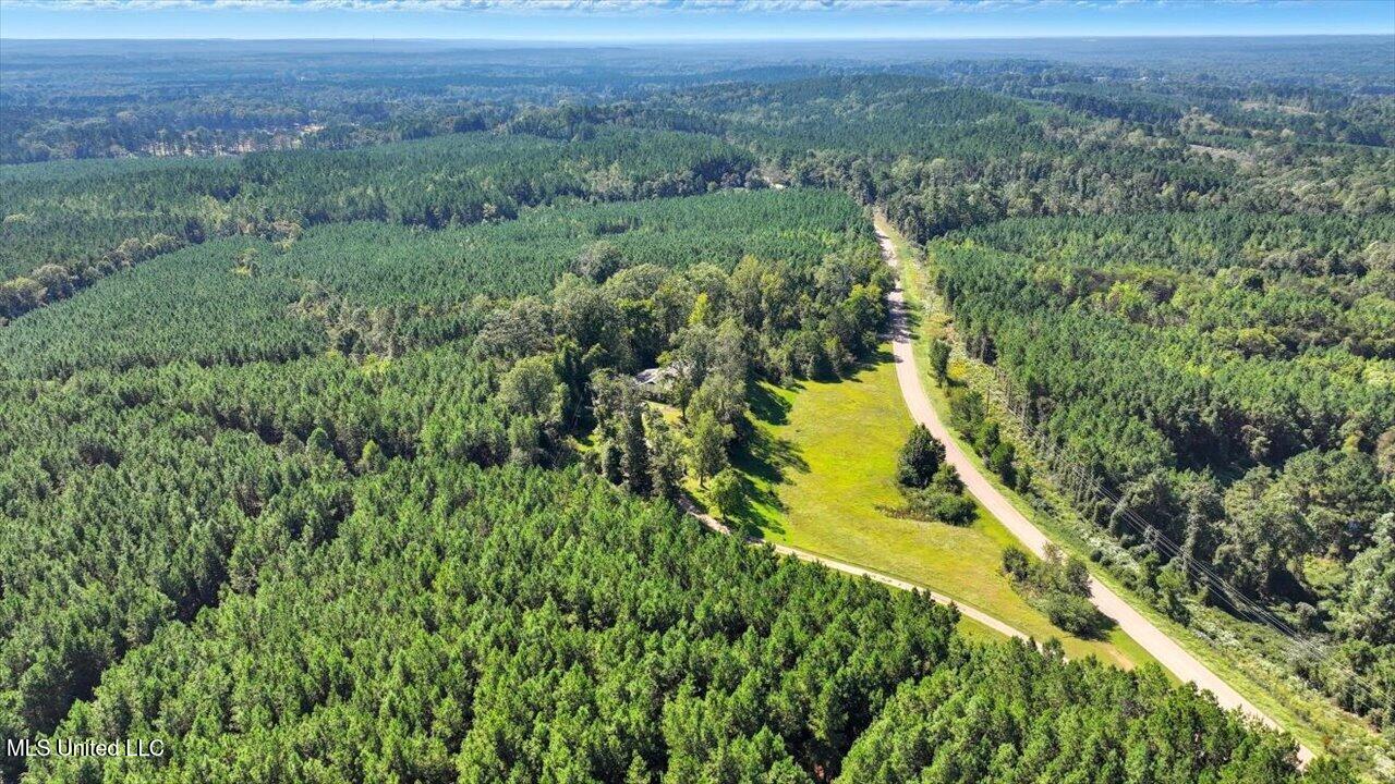 2694 Highway 501 Property Photo 48
