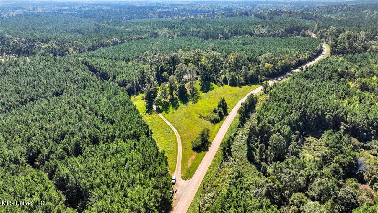 2694 Highway 501 Property Photo 49