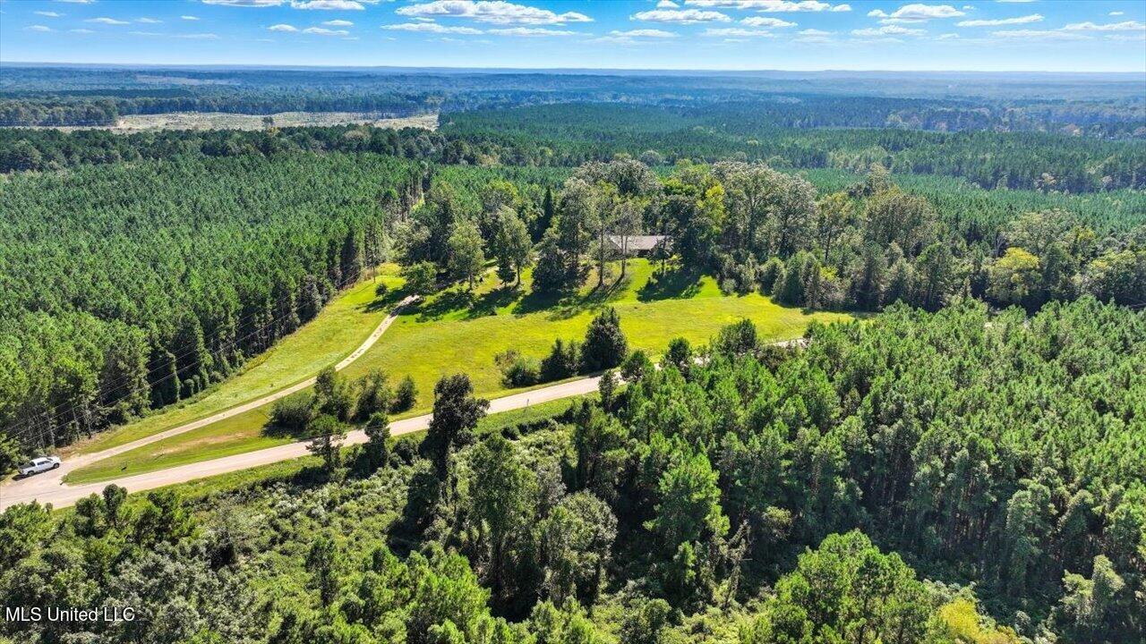 2694 Highway 501 Property Photo 51