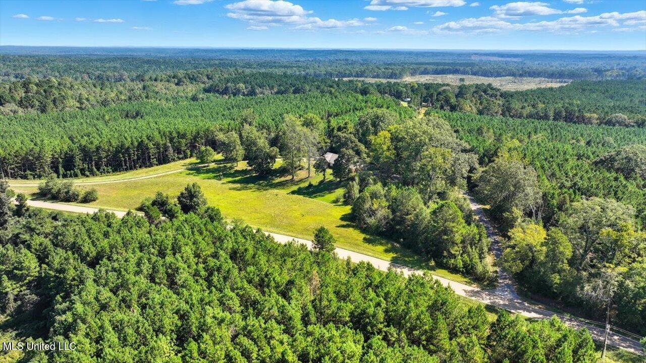 2694 Highway 501 Property Photo 52