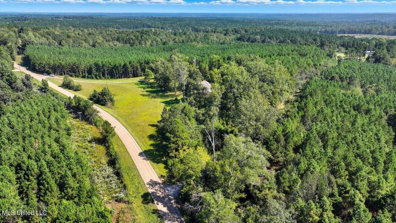 2694 Highway 501 Property Photo 53