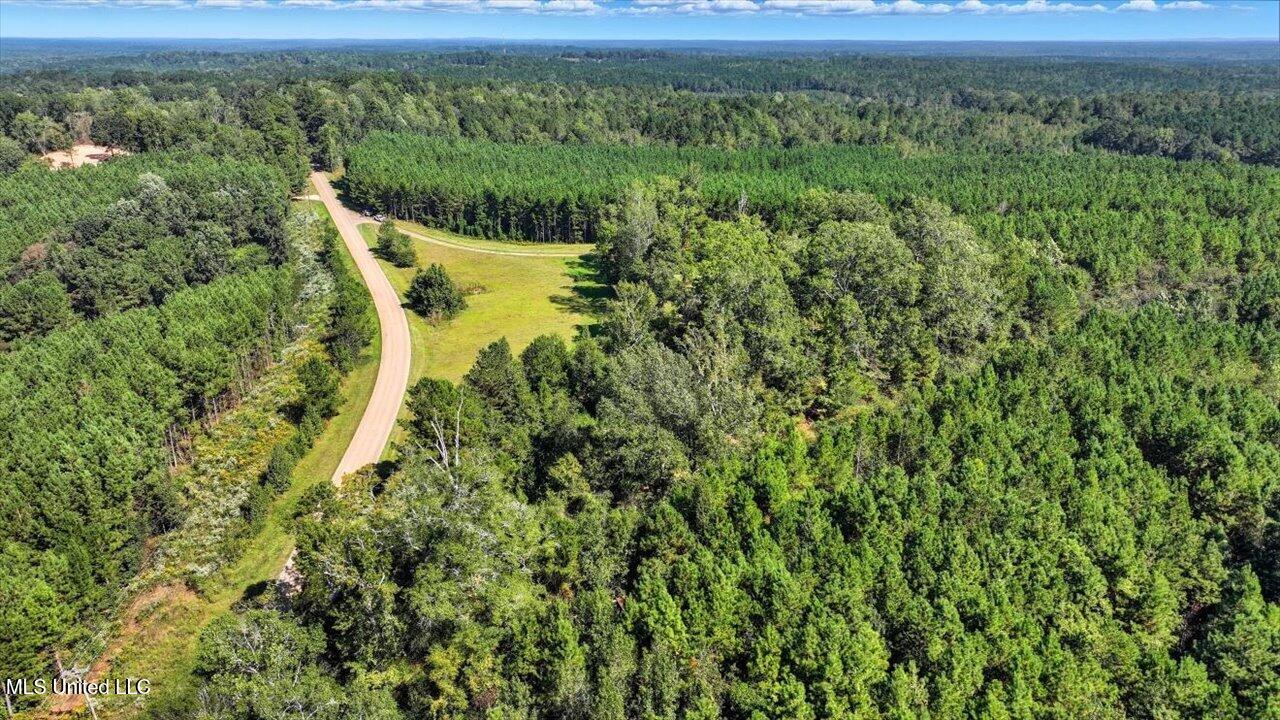 2694 Highway 501 Property Photo 54