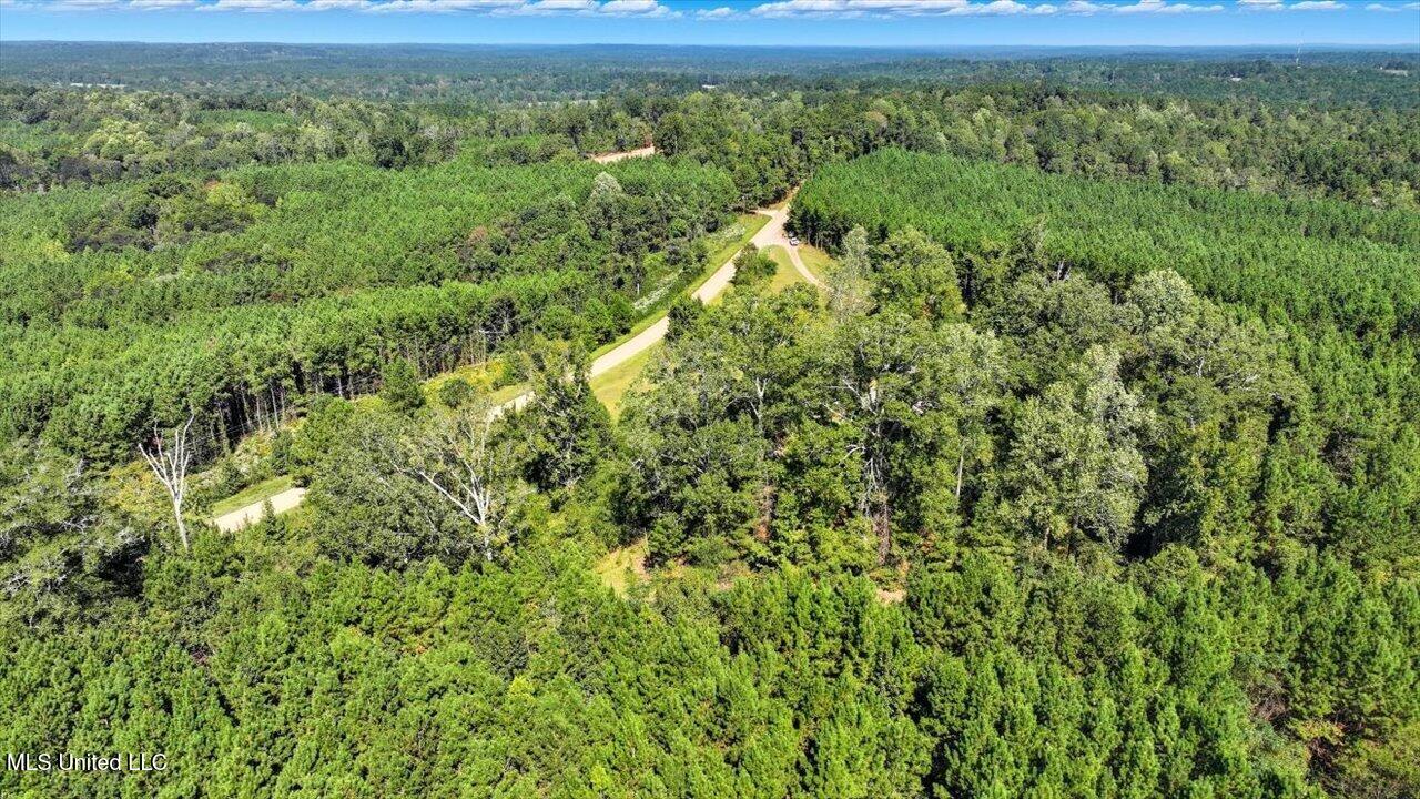 2694 Highway 501 Property Photo 55
