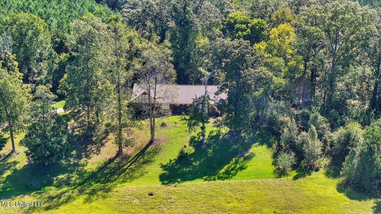 2694 Highway 501 Property Photo 60
