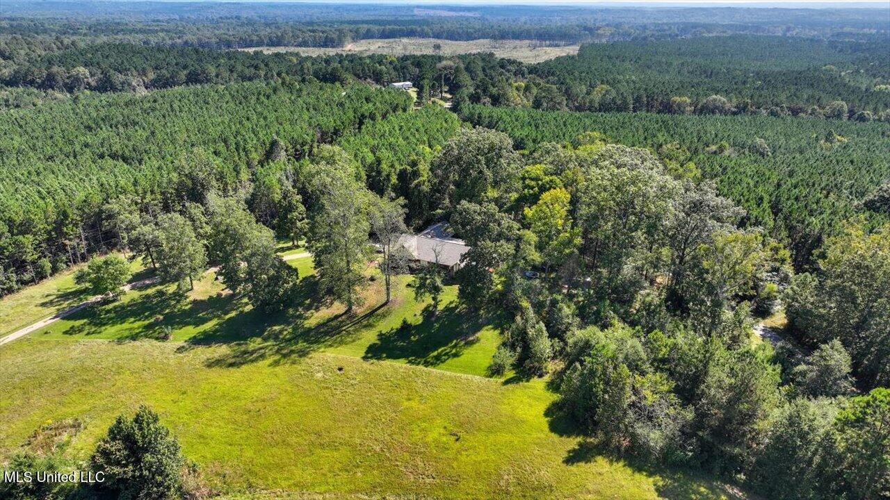 2694 Highway 501 Property Photo 61