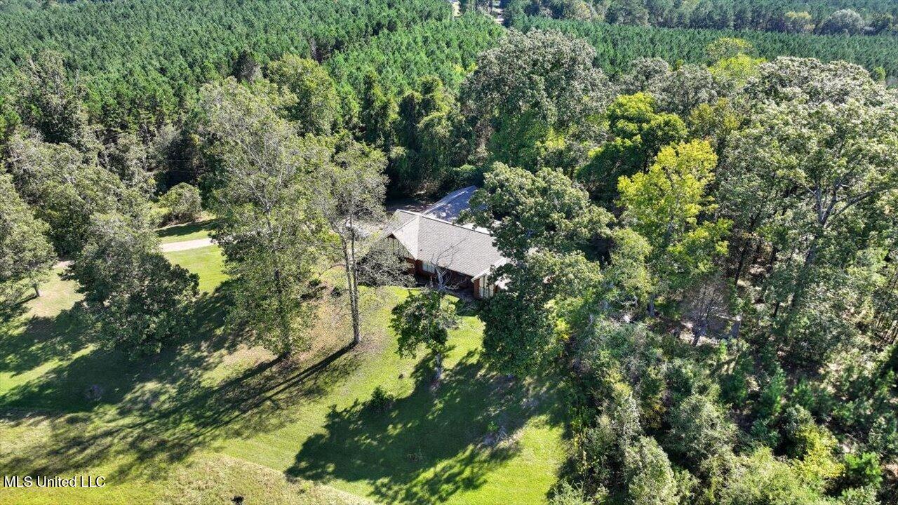 2694 Highway 501 Property Photo 64