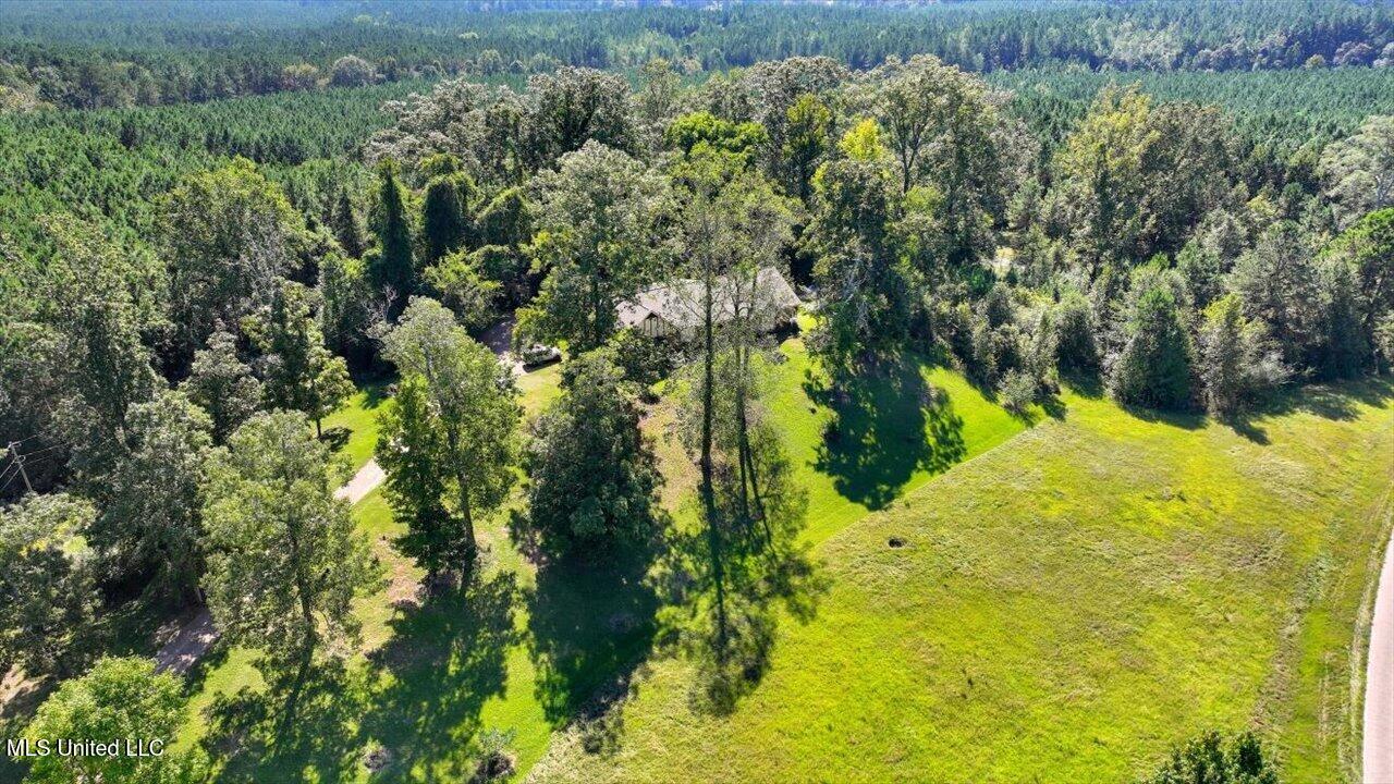 2694 Highway 501 Property Photo 65