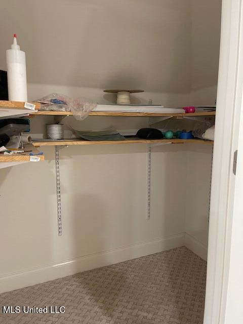 215 Greenbriar Loop Property Photo 59