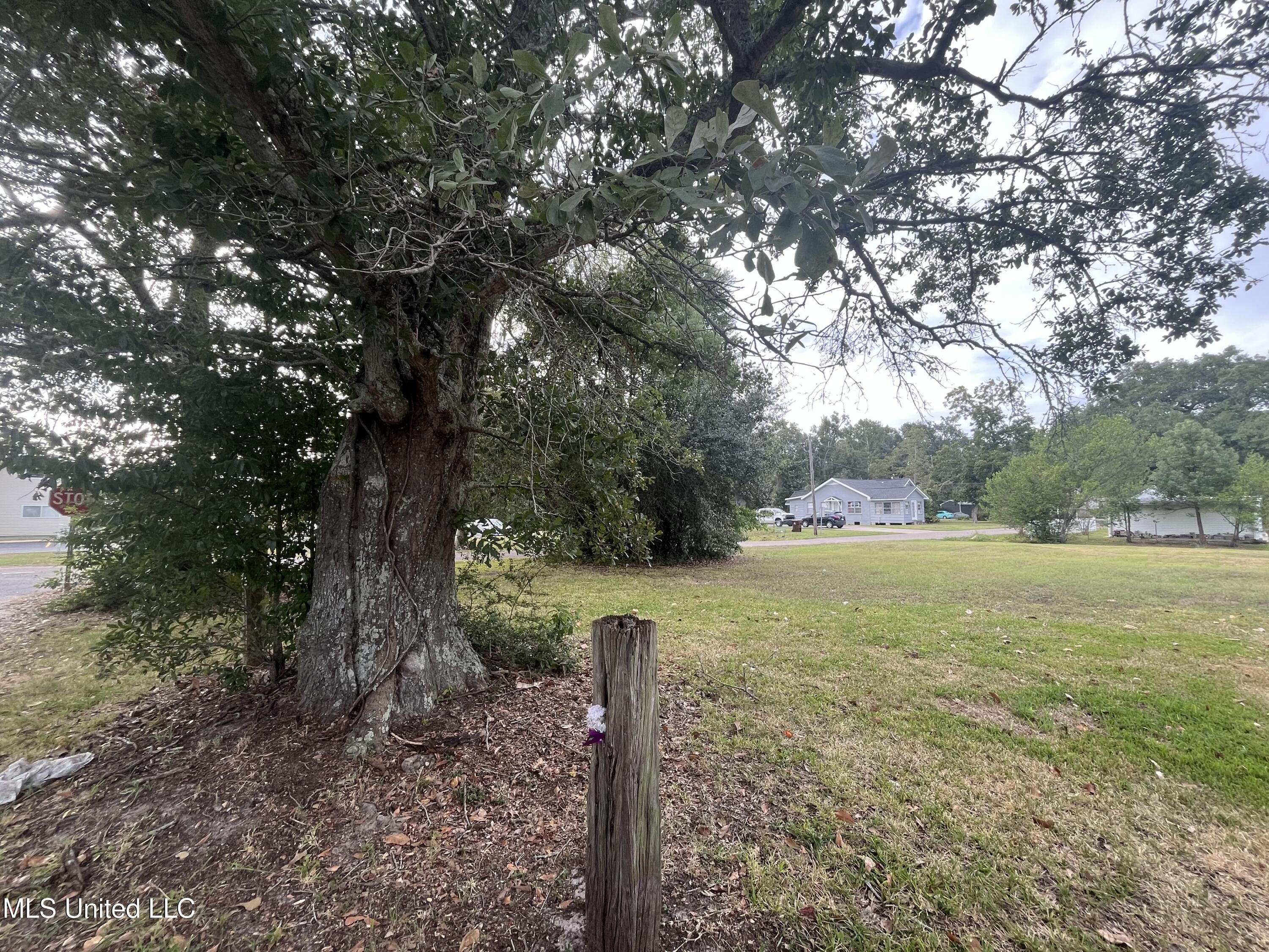 226 Russell Street Property Photo 6