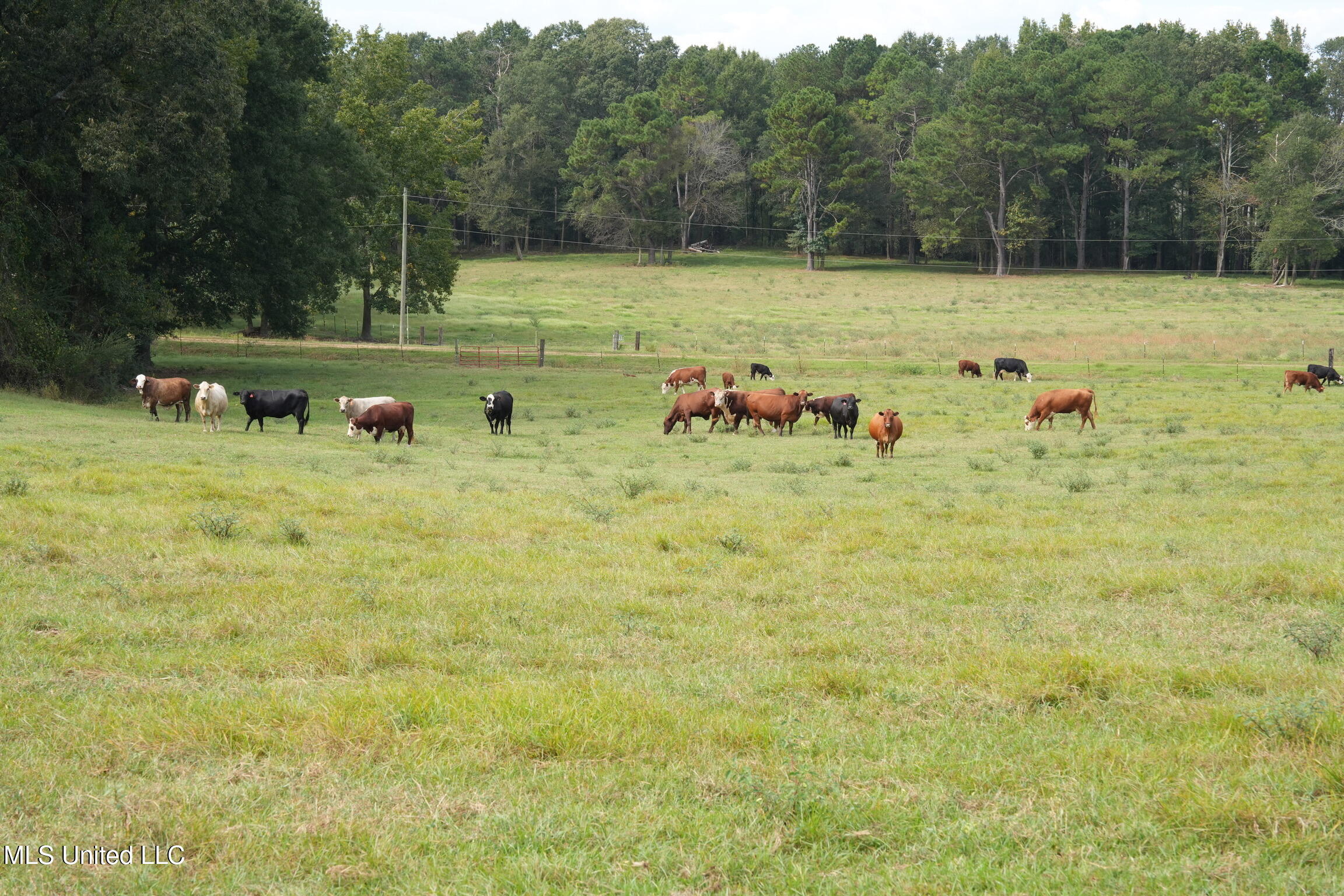 1074 Midway Odom Road Road Property Photo 2