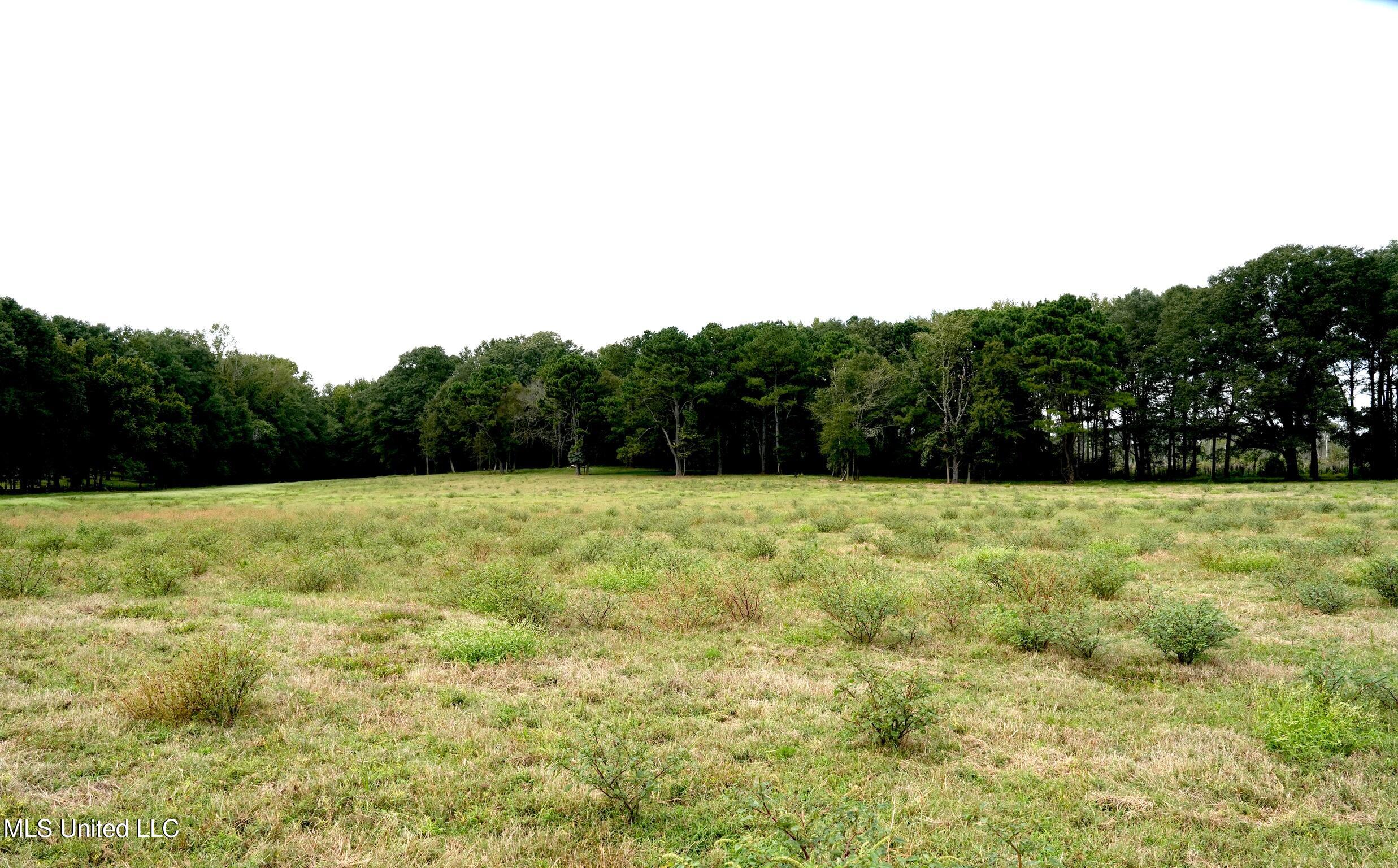 1074 Midway Odom Road Road Property Photo 3