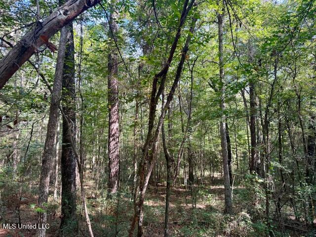 Beartown Road Property Photo 1