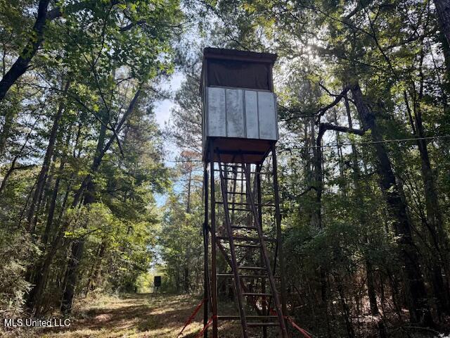 Beartown Road Property Photo 3