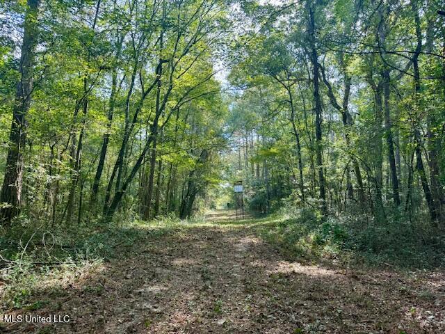 Beartown Road Property Photo 4