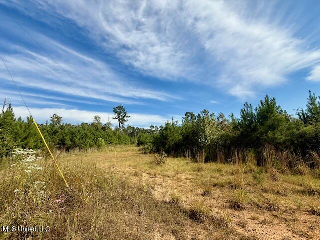 Beartown Road Property Photo 9