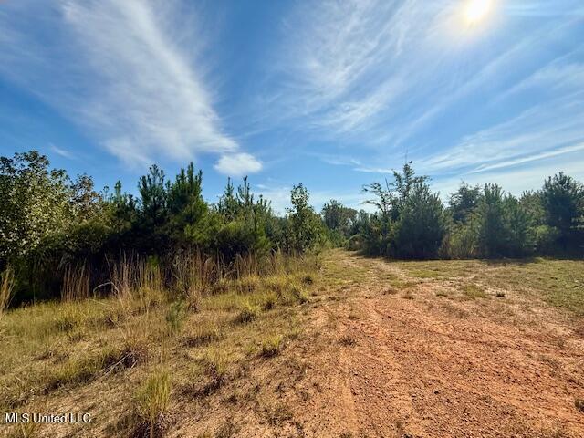 Beartown Road Property Photo 10