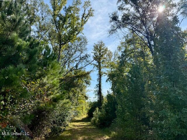 Beartown Road Property Photo 12