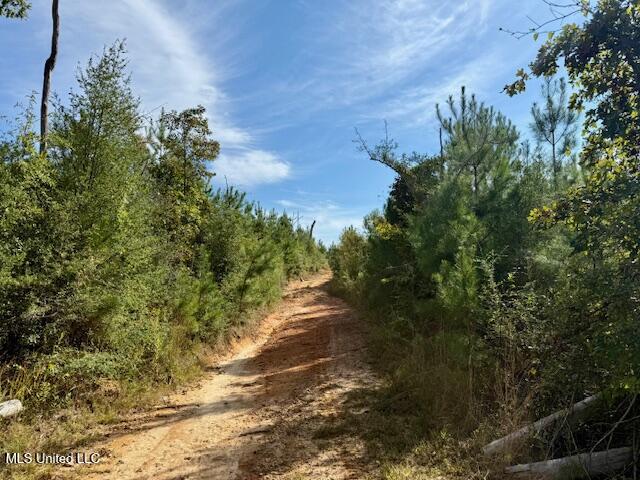 Beartown Road Property Photo 13