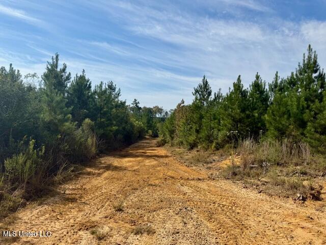 Beartown Road Property Photo 14