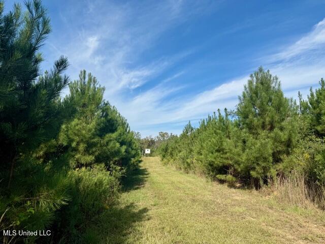 Beartown Road Property Photo 18