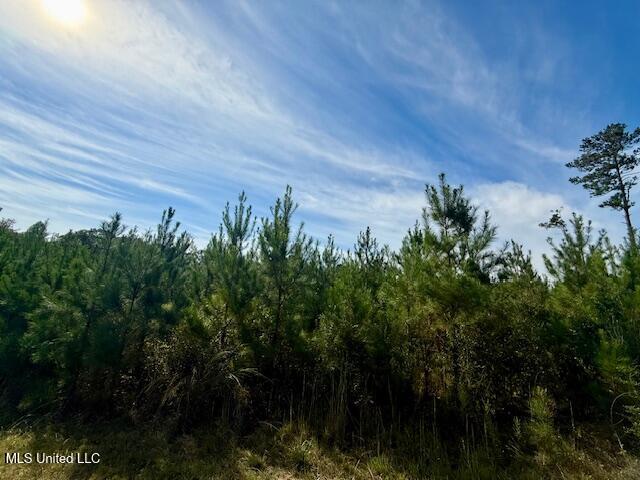 Beartown Road Property Photo 20