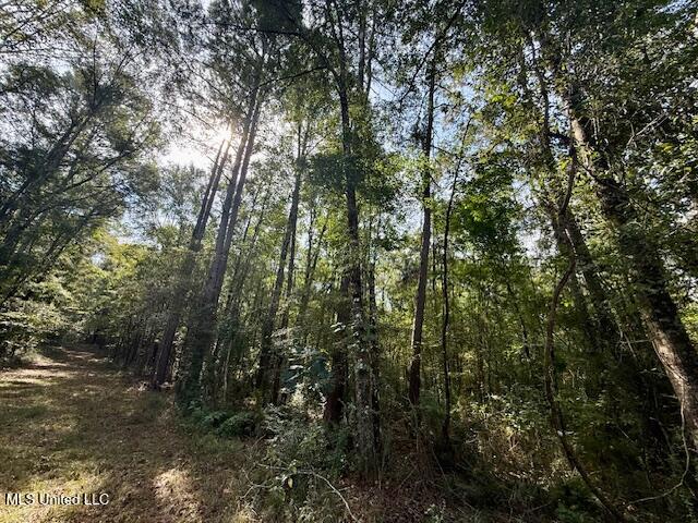 Beartown Road Property Photo 23