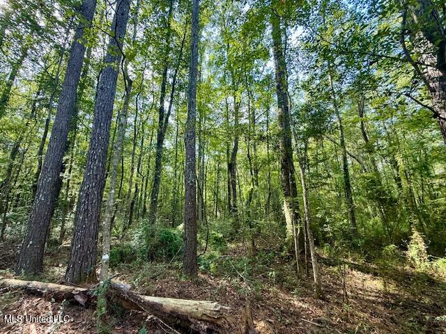 Beartown Road Property Photo 24