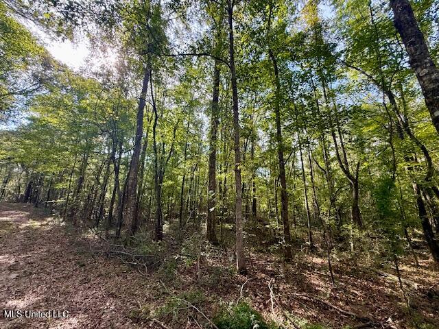 Beartown Road Property Photo 25