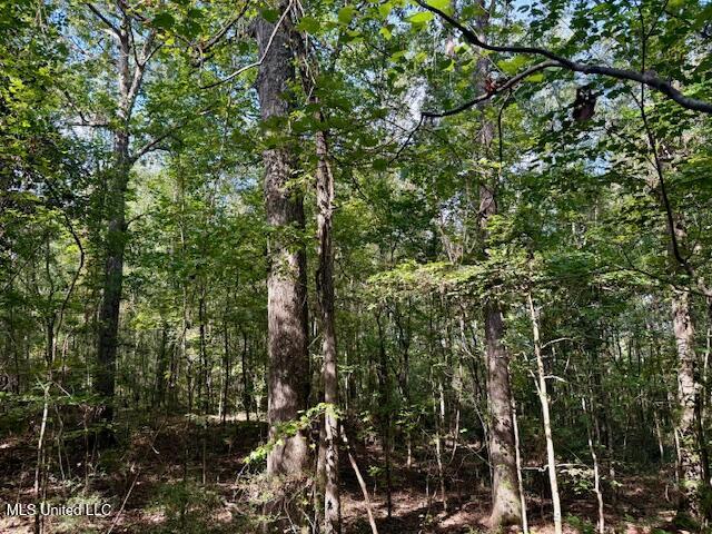 Beartown Road Property Photo 26