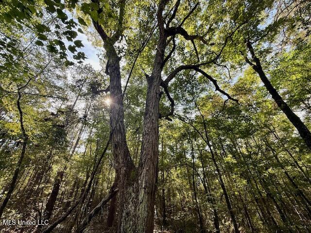 Beartown Road Property Photo 28