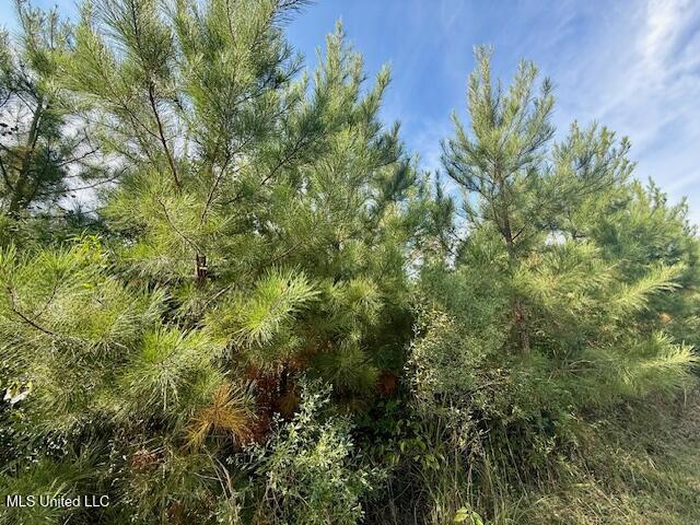 Beartown Road Property Photo 29