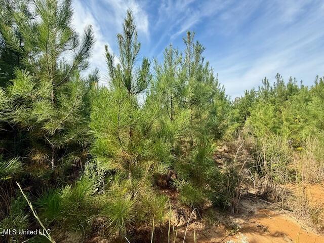 Beartown Road Property Photo 30