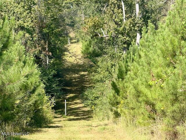 Beartown Road Property Photo 32