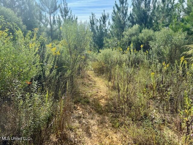 Beartown Road Property Photo 33