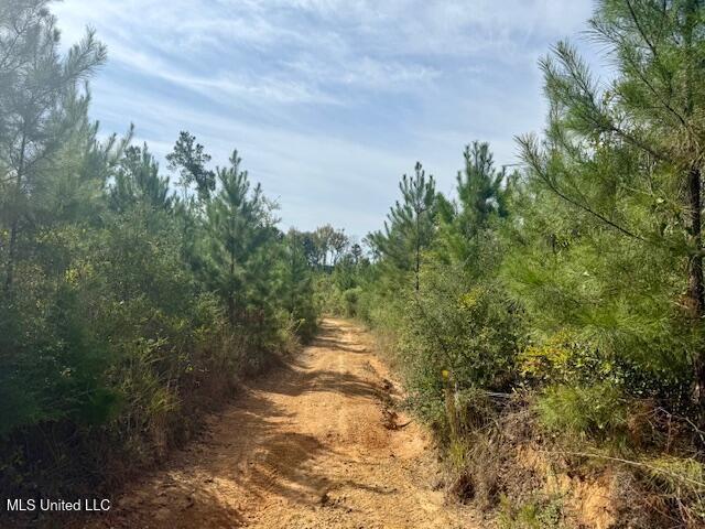 Beartown Road Property Photo 34