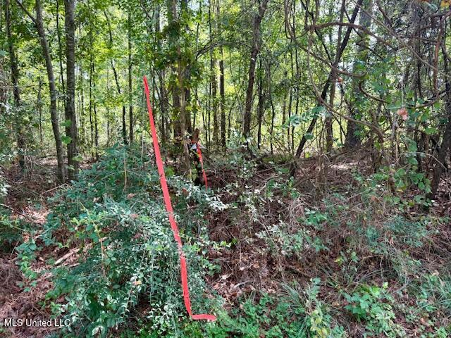 Beartown Road Property Photo 41