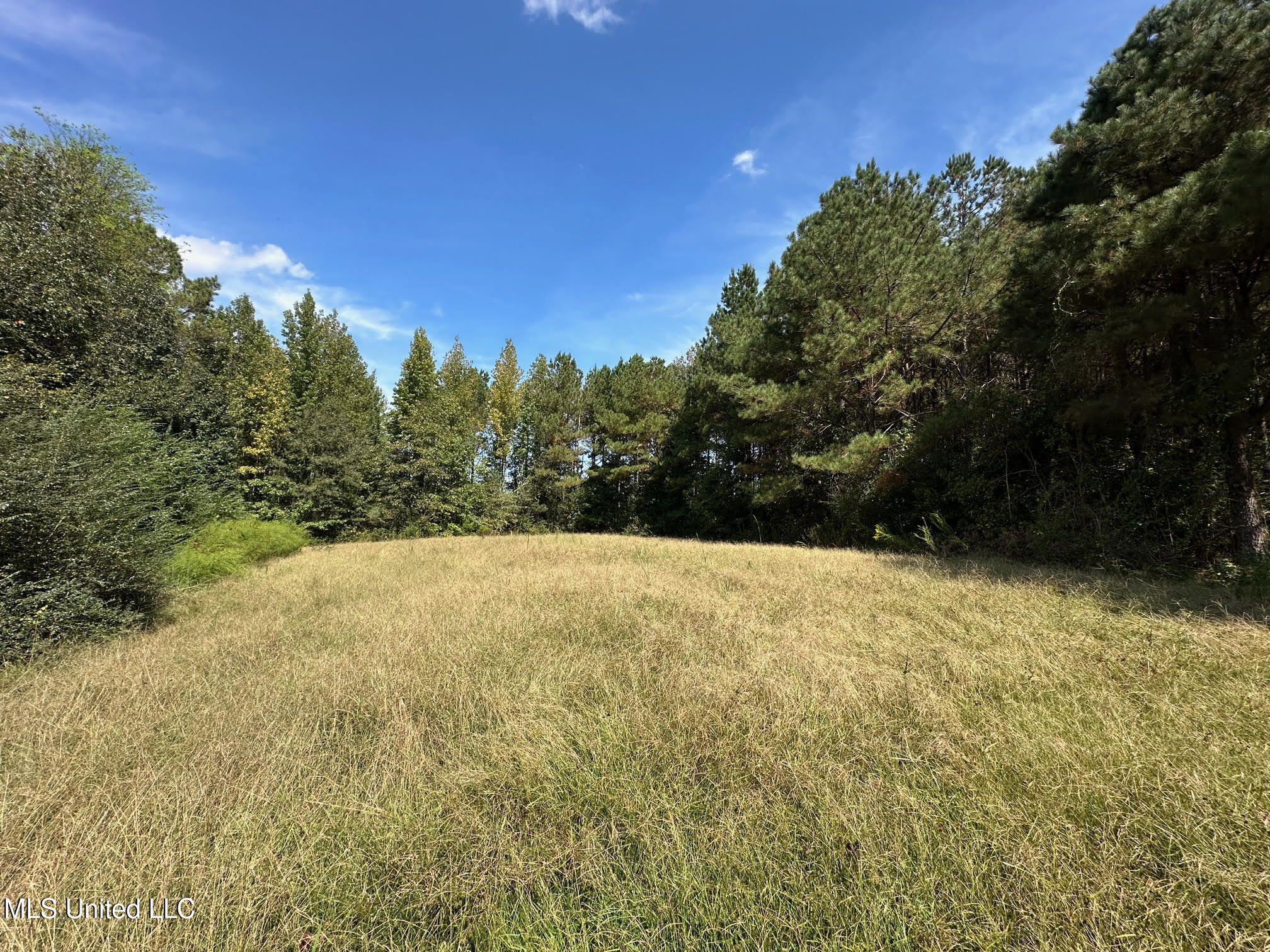 624 Caraway Road Property Photo 2