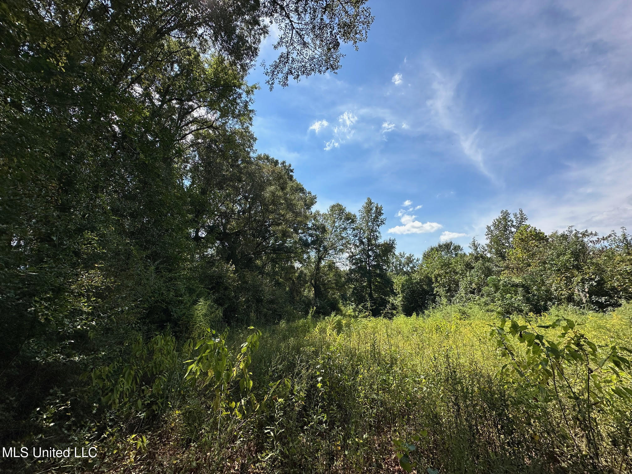 624 Caraway Road Property Photo 3