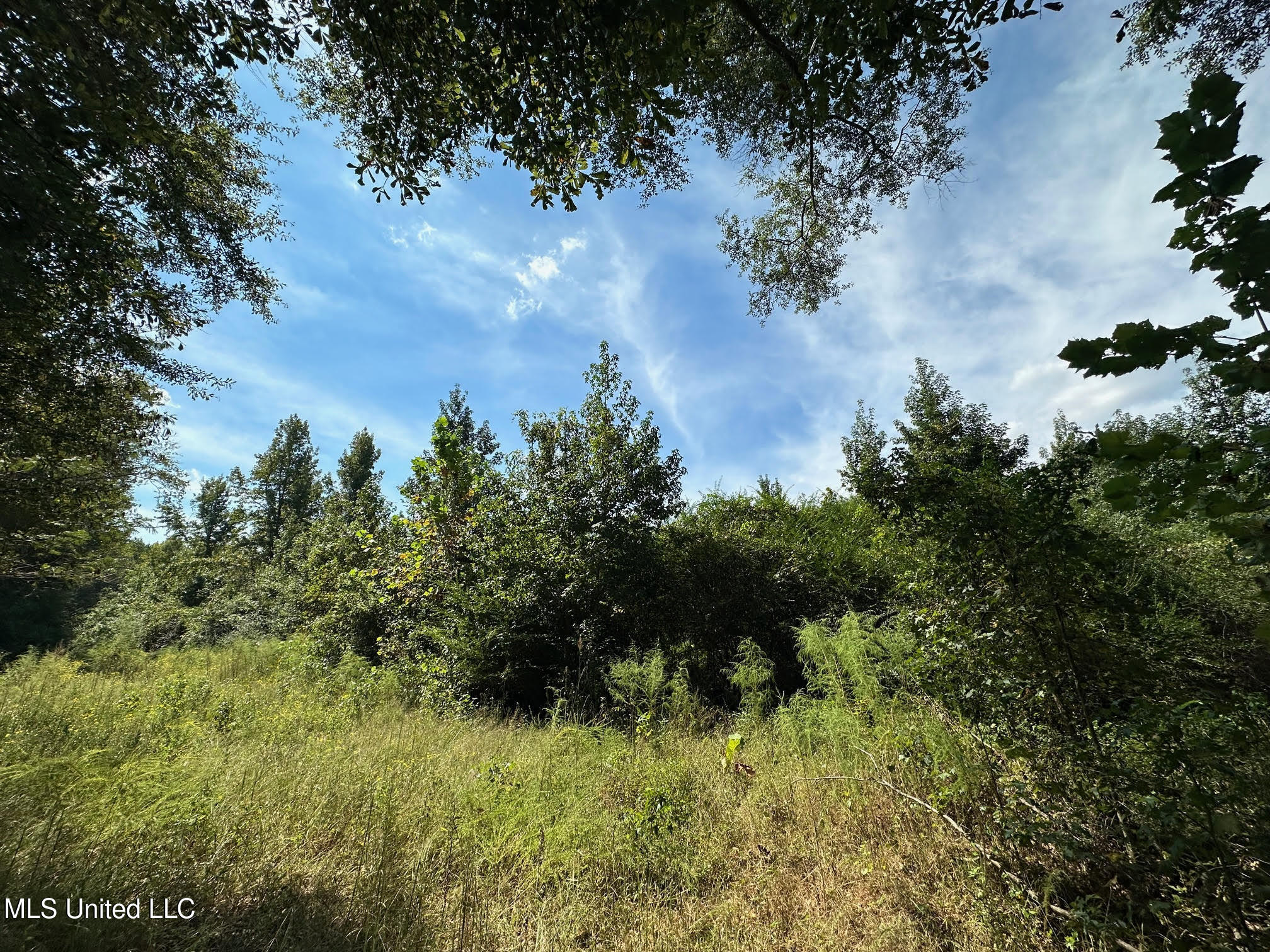624 Caraway Road Property Photo 5