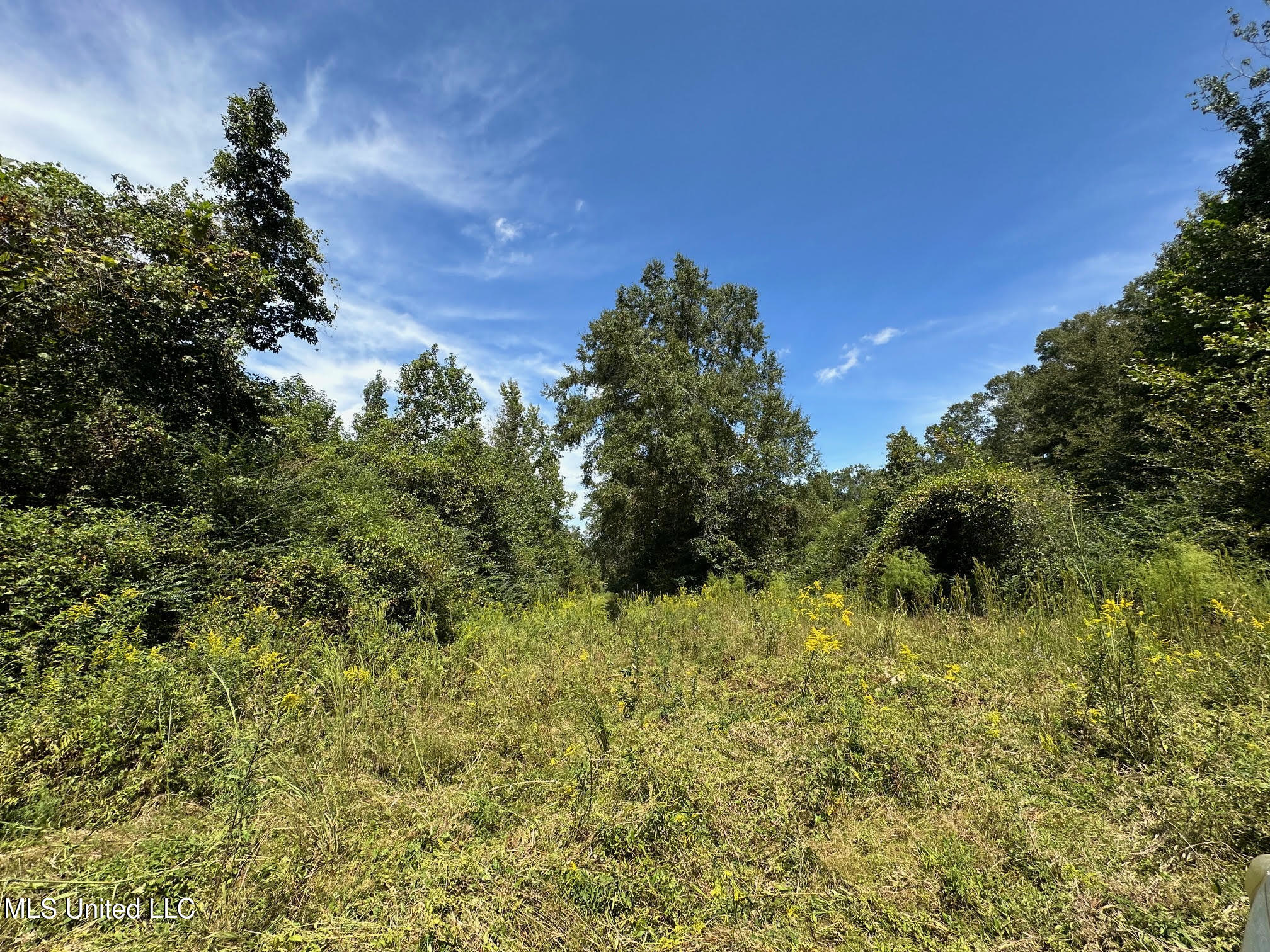 624 Caraway Road Property Photo 6