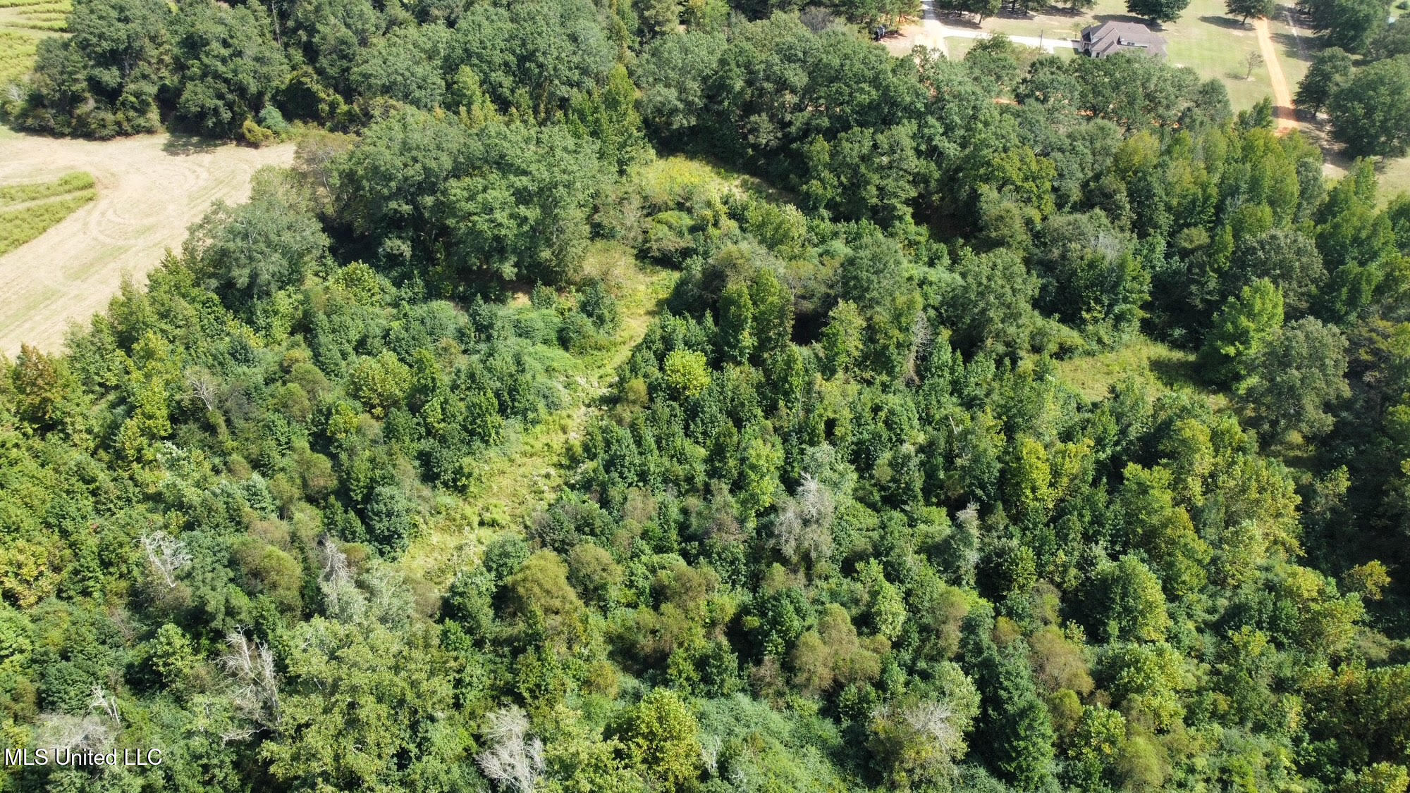 624 Caraway Road Property Photo 8